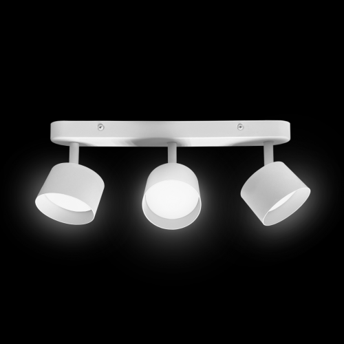 sp016_3_wt_3-resize-500x500