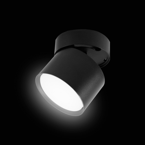 sp017_bk_2-resize-500x500