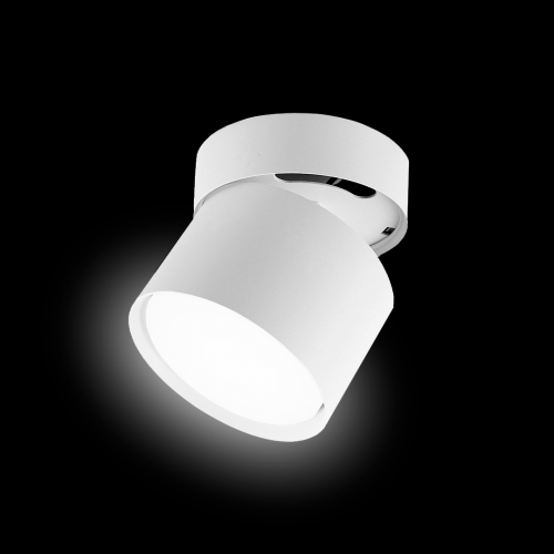 sp017_wt_2-resize-500x500