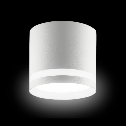 sp021_wt_2-resize-500x500