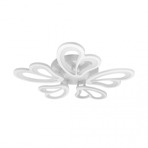 ld112-5_1-resize-500x500