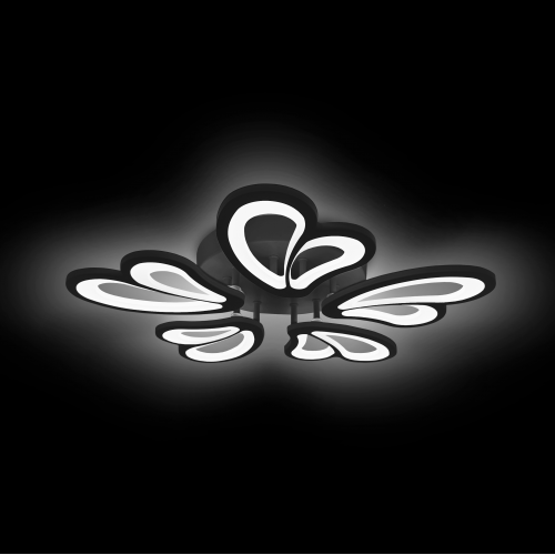 ld112-5_bk_3-resize-500x500