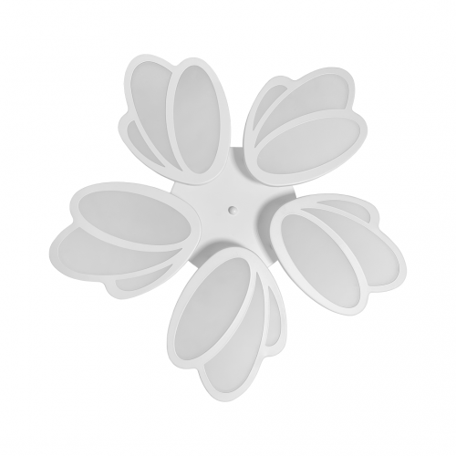 ld113-5_2-resize-500x500